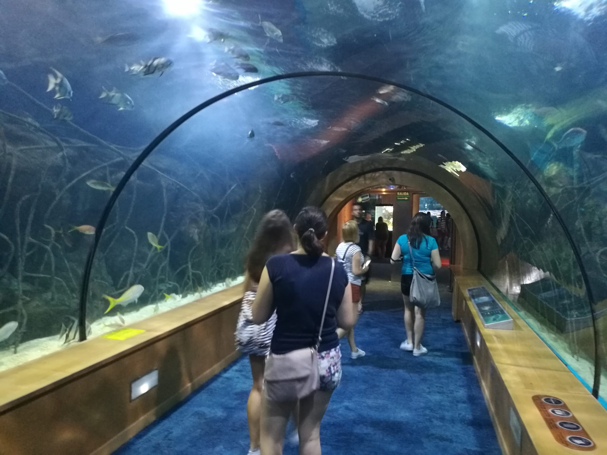 cof oceanographic valencia
