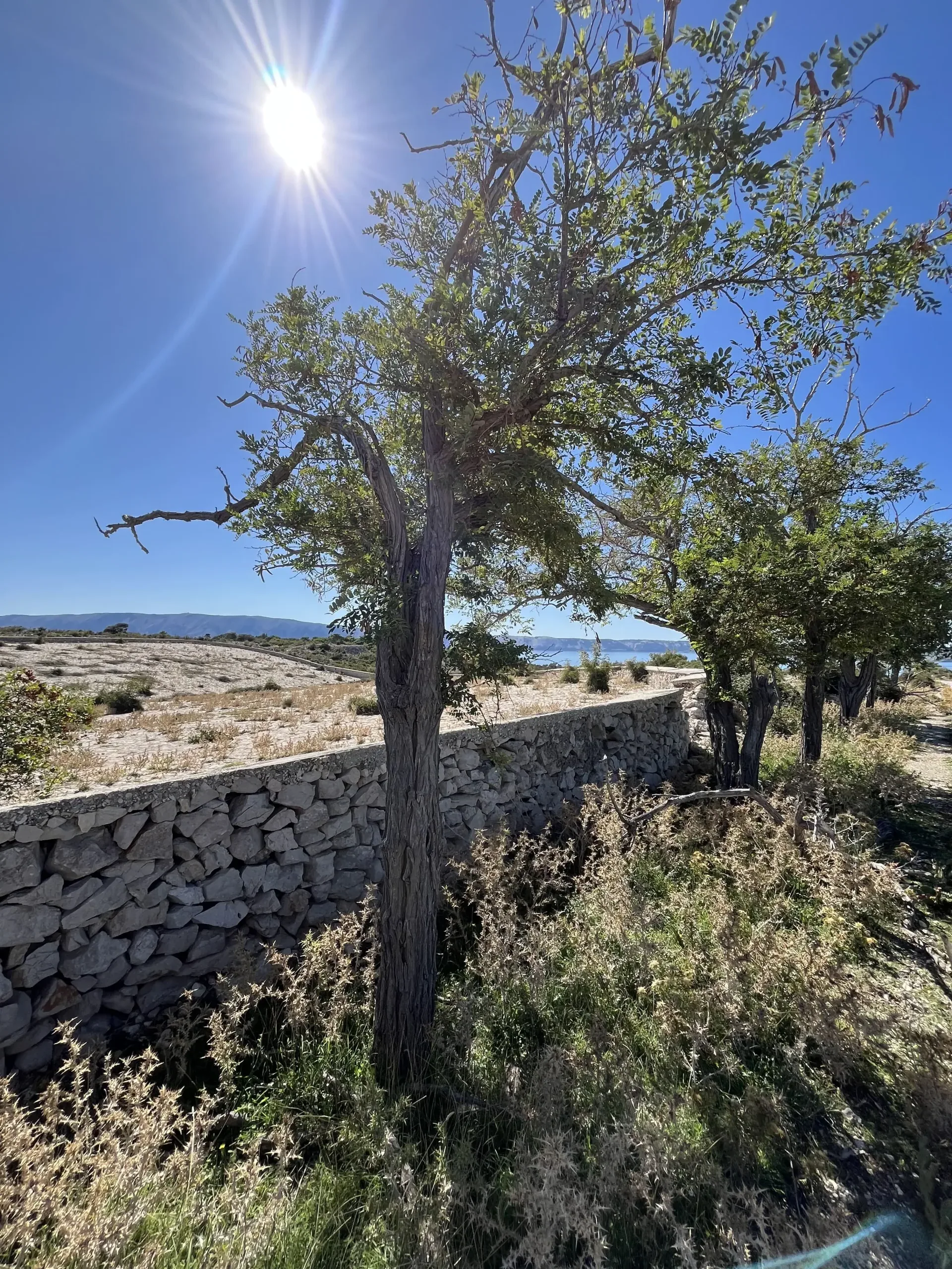 goli otok goli otok - Rezervoar za zbiranje vode