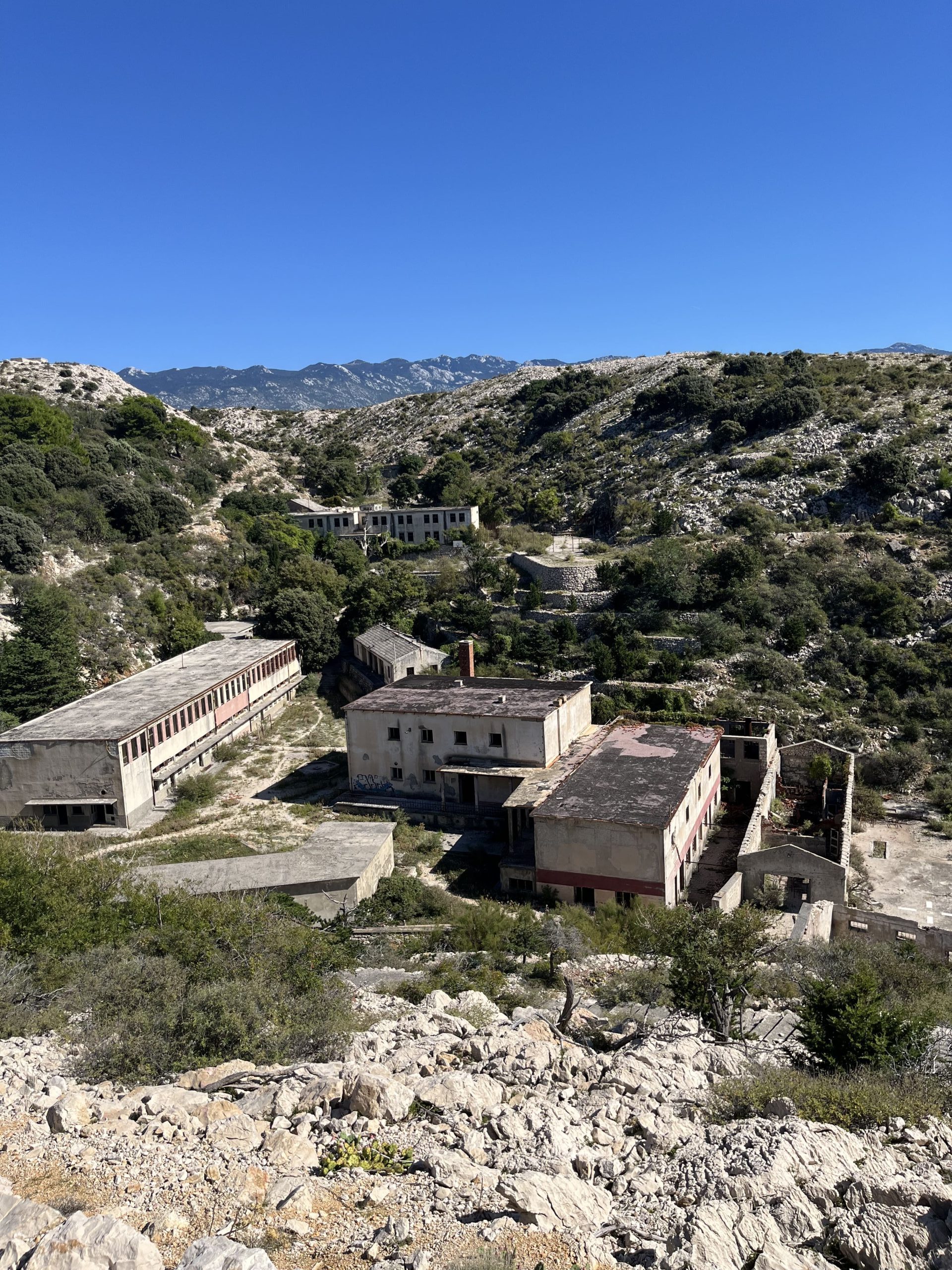 žica žica goli otok